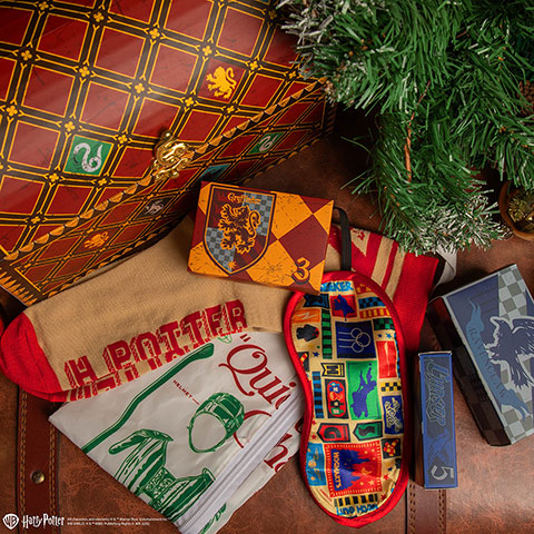 Calendrier de lâavent 2025 Deluxe Quiddtich - Harry Potter