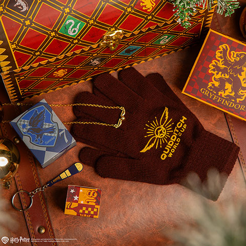 Calendrier de l’avent 2025 Deluxe Quiddtich - Harry Potter